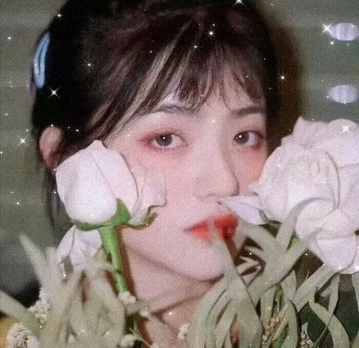 萨米温与达西玛